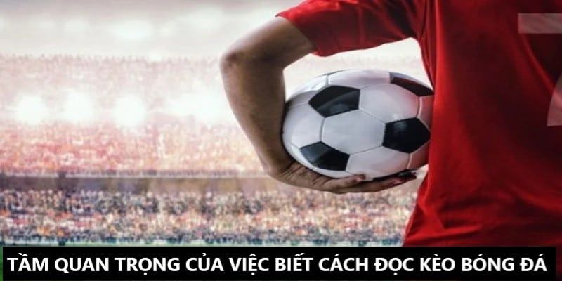 Cách đọc kèo bóng đá chuẩn giúp cá độ thành công